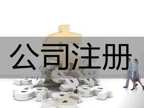 房產經紀公司的法定經營范圍與拓展服務解析